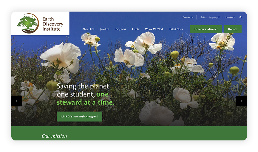 This is a screenshot of the EDI site, one of the best nonprofit websites.