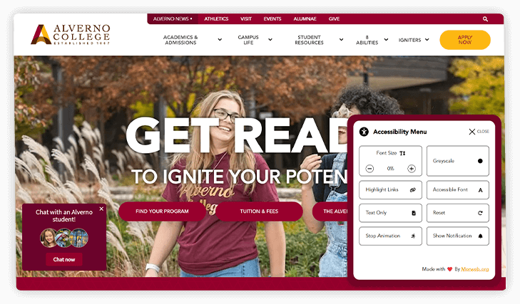 Include our accessibility widget on your school website to enable all users to adjust and interact with page elements.