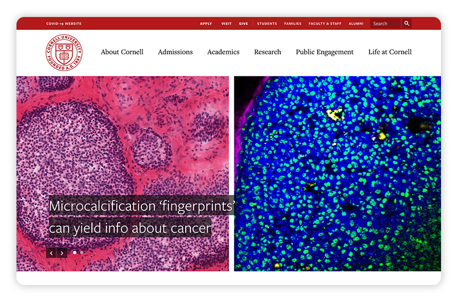 Cornell's college website design is captivating and helps this school stand out from other elite institutions.