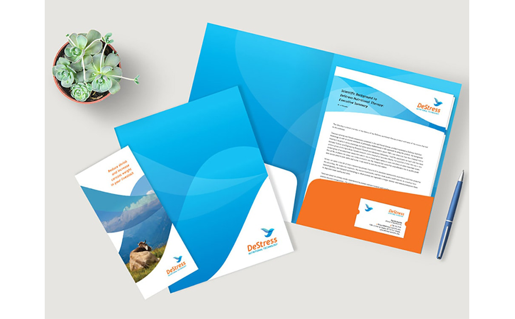 Nonprofit branding redesign stationery